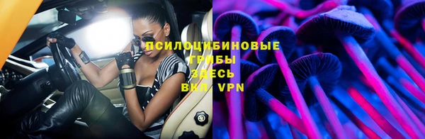 гидропоника Вязьма